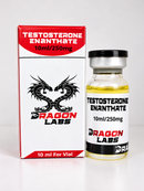 Enantato de Testosterona 250mg - Dragon Labs